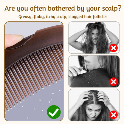 Anti Dandruff Comb (Buy 1 Get 1 Free)
